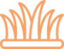 services6